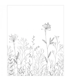 PANO, CASE. FIELD LINE  NOIR/BLANC 200x310 10722 PANW6