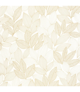 PP CASE. LITTLE BOTA. BL. OR 10715 VDNT0