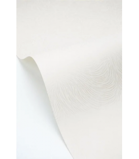 PP CASE. STORM BLANC 10706 VDNT1