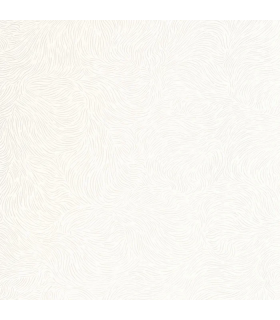 PP CASE. STORM BLANC 10706 VDNT1