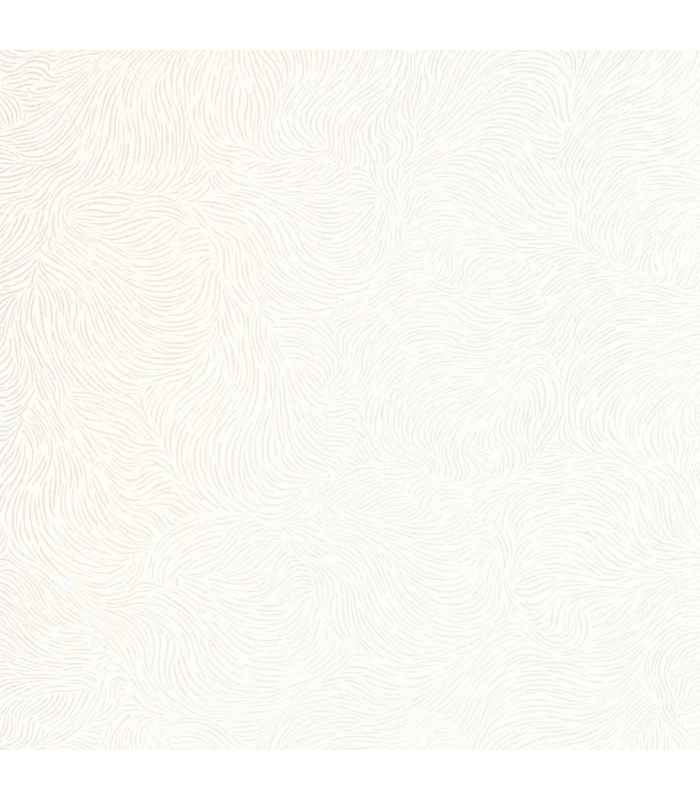 PP CASE. STORM BLANC 10706 VDNT1