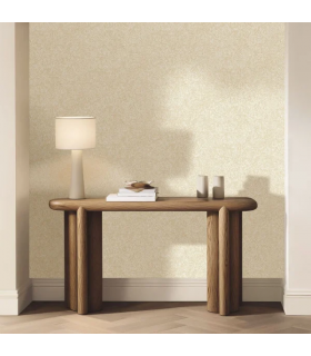 PP CASE. STORM BLANC OR 10706 VDNT1