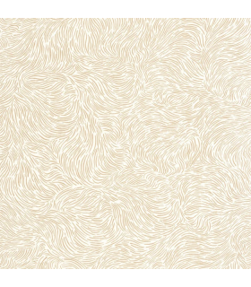 PP CASE. STORM BLANC OR 10706 VDNT1