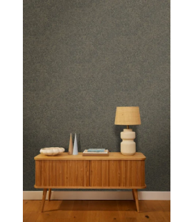 PP CASE. STORM NOIR OR 10706 VDNT1