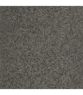 PP CASE. STORM NOIR OR 10706 VDNT1