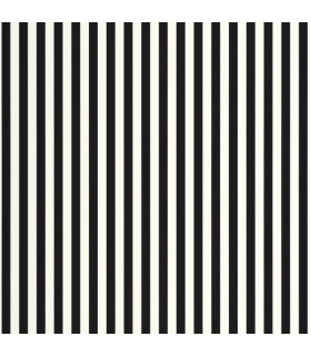 PP CASE. TALEA NOIR BLANC 10667 VDNW0