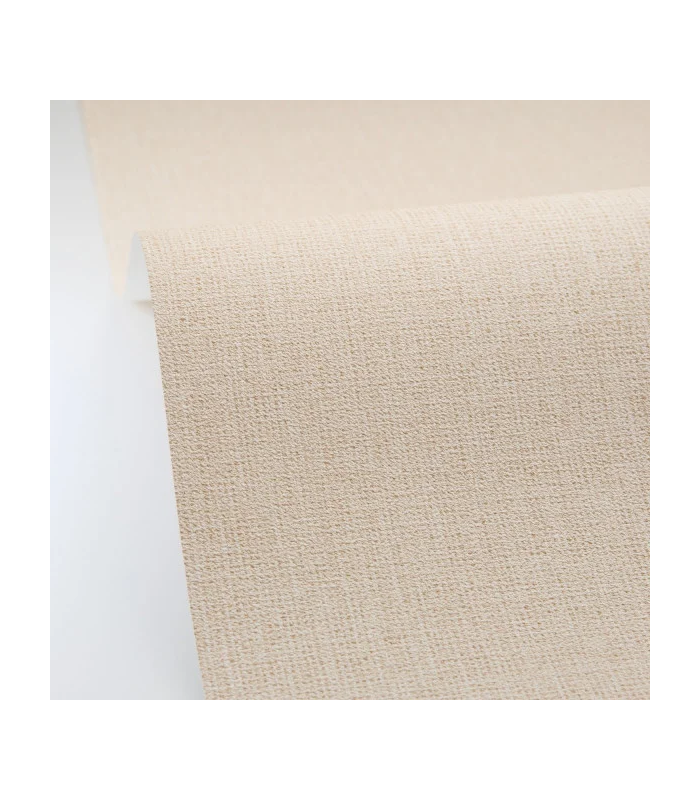 PP CASE. UNI CHAMPAGNE 10608 VP0