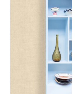 PP CASE. UNI CHAMPAGNE 10608 VP0