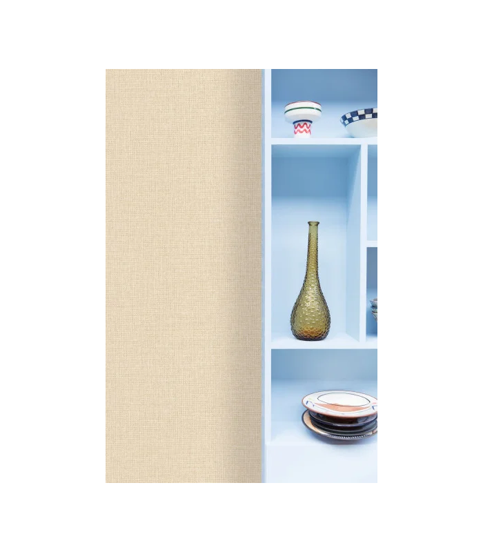 PP CASE. UNI CHAMPAGNE 10608 VP0