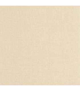 PP CASE. UNI CHAMPAGNE 10608 VP0