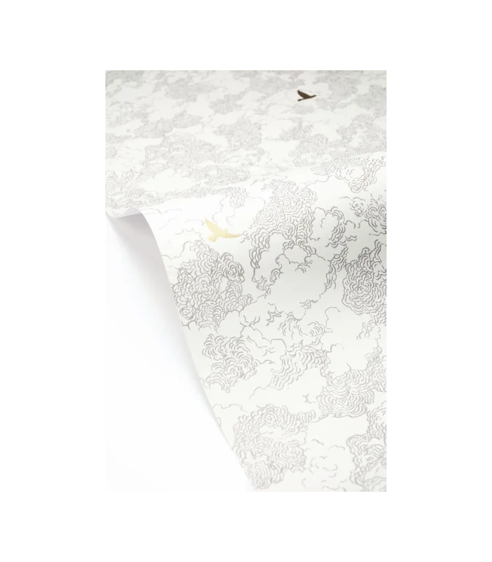 PP CASE. GOLDEN FLIGHT NOIR 10709 VPNT2