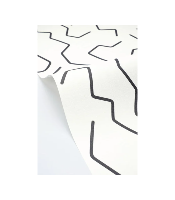 PP CASE. ART LINE NOIR ET BL. 10710 VPNT2