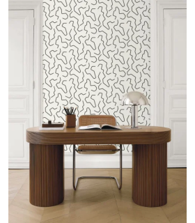 PP CASE. ART LINE NOIR ET BL. 10710 VPNT2