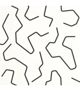 PP CASE. ART LINE NOIR ET BL. 10710 VPNT2