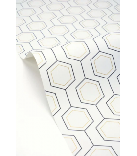 PP CASE. HEXALINE NOIR BL. OR 10713 VPNT2