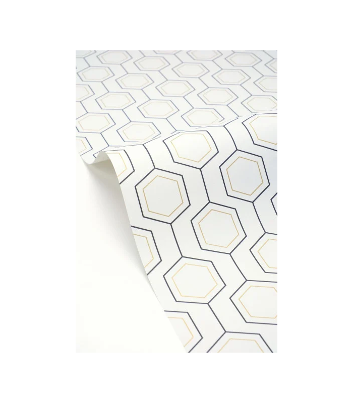 PP CASE. HEXALINE NOIR BL. OR 10713 VPNT2