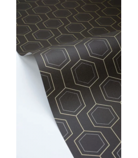 PP CASE. HEXALINE NOIR OR 10713 VPNT2