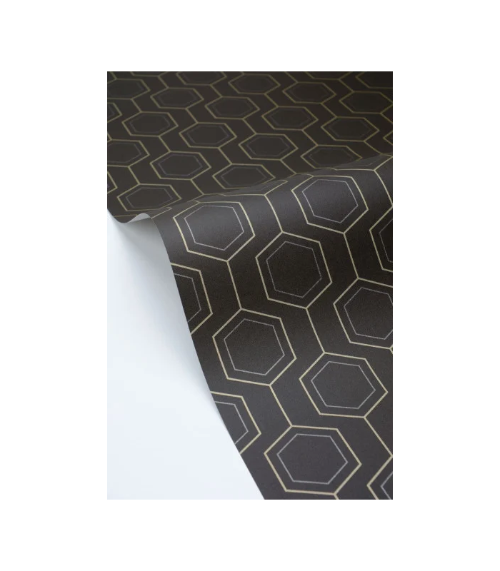 PP CASE. HEXALINE NOIR OR 10713 VPNT2