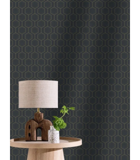 PP CASE. HEXALINE NOIR OR 10713 VPNT2