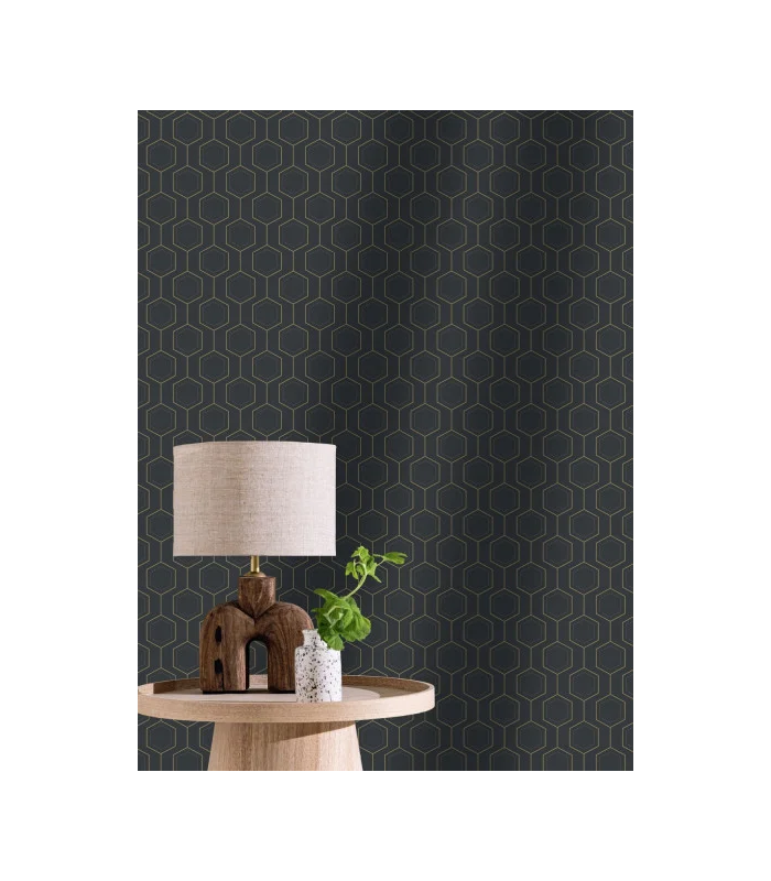 PP CASE. HEXALINE NOIR OR 10713 VPNT2