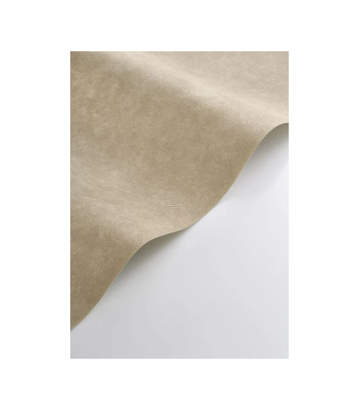 PP CASAD. CÔTE D'OPALE TAUPE 20149 VINT