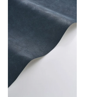 PP CASAD. CÔTE D'OPALE BLEU O. 20149 VINT