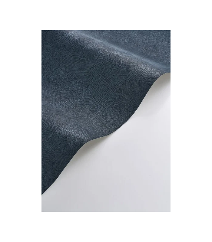 PP CASAD. CÔTE D'OPALE BLEU O. 20149 VINT