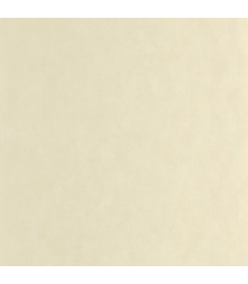 PP CASAD. TARRAZU BEIGE SABLE 20127 VUNT1