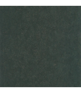 PP CASAD. TARRAZU EMERAUDE 20127 VUNT1