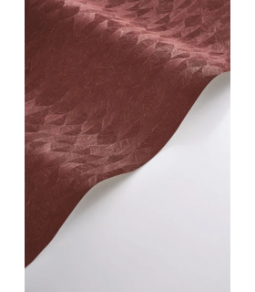 PP CASAD. TARRAZU AMARENA 20127 VUNT1