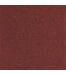 PP CASAD. TARRAZU AMARENA 20127 VUNT1