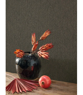 PP CASAD. TARRAZU NOIR FUSAIN 20127 VUNT1