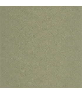 PP CASAD. NOLA VERT EUCAL. 20128 VUNT1