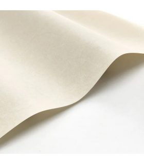 PP CASAD. COTTON TOUCH BEI. C. 8238 VUNT1