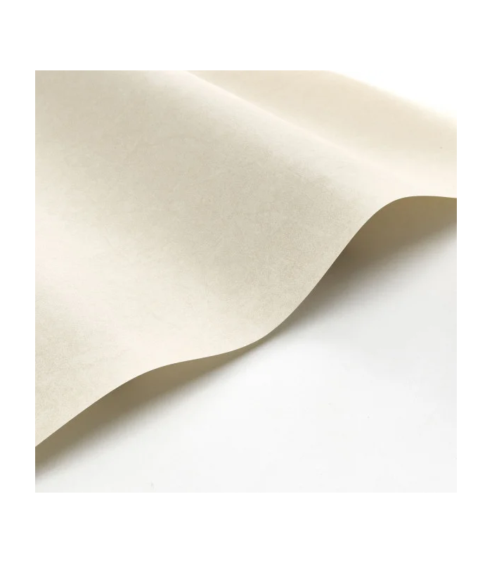 PP CASAD. COTTON TOUCH BEI. C. 8238 VUNT1