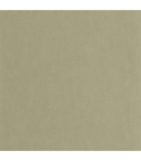 PP CASAD. MASAYA VERT LICHEN 8642 VUNT1