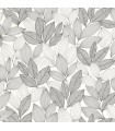 Papier peint Caselio - Little Botanica noir et blanc - 10715