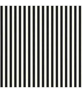 PP CASE. TALEA NOIR BLANC 10667 VDNW0