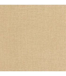 Papier peint Caselio - Uni mat dune foncé - 10401