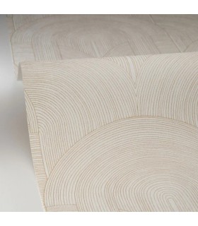 Papier peint Caselio - Delicacy blanc et or - 10656