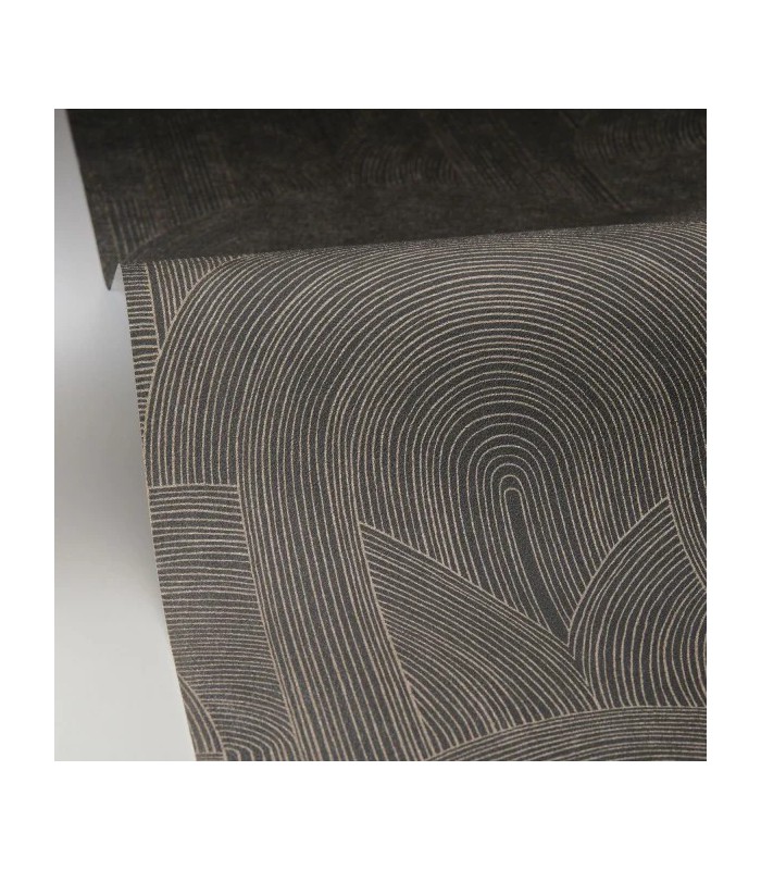 Papier peint Caselio - Delicacy noir et or -10656