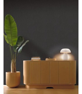 Papier peint Caselio - Curved Line noir - 10711