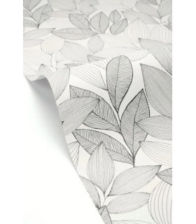 Papier peint Caselio - Little Botanica noir et blanc - 10715