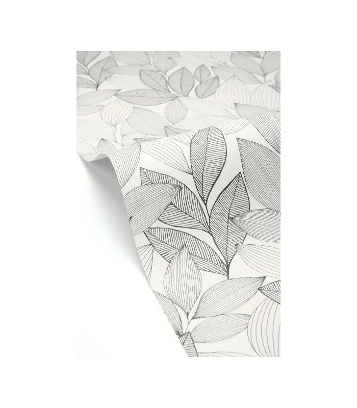 Papier peint Caselio - Little Botanica noir et blanc - 10715