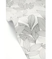 Papier peint Caselio - Little Botanica noir et blanc - 10715
