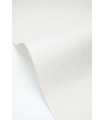 PP CASE. STORM BLANC 10706 VDNT1