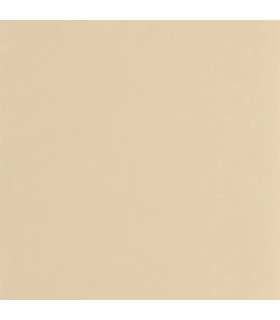 PP CASAD. NEST COQUILLE D'OEUF 20100 VI