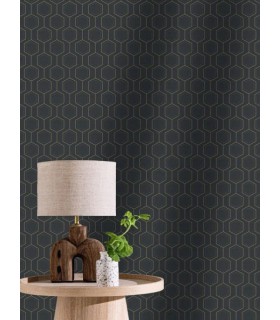 Papier peint Caselio - Hexaline noir or - 10713