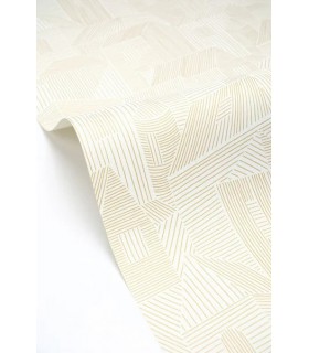 PP CASE. VILLAGE BLANC OR 10718 VPNT2