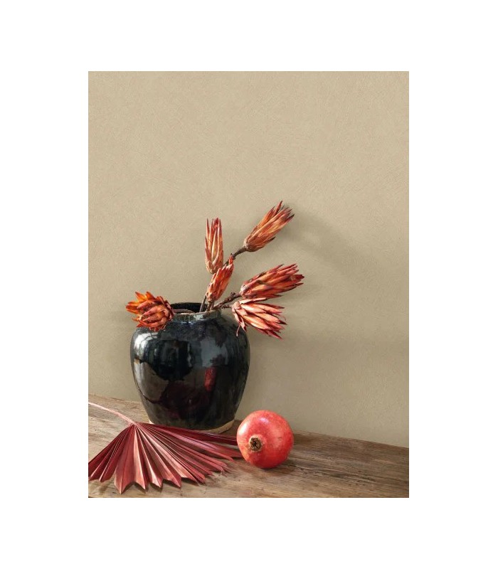 PP CASAD. NEST LIN 20100 VI